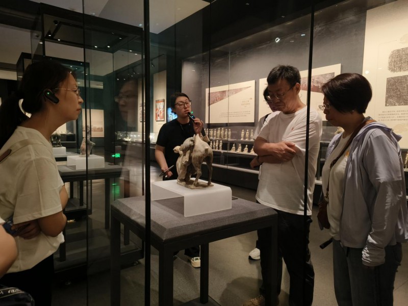 穿越千年塵埃，探尋文化根脈