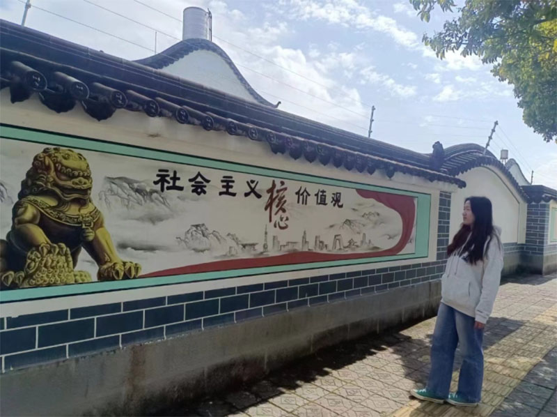 安財學(xué)子社會實踐：家是最小國，國是千萬家——傳承愛國愛