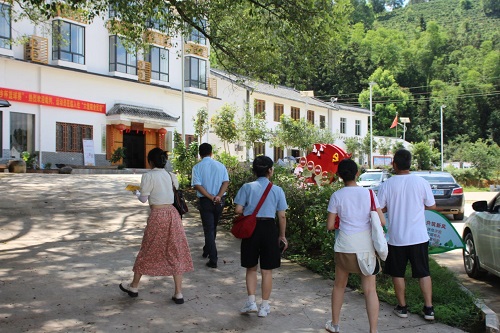 湘潭大學(xué)赴六堡茶鄉(xiāng)暑期調(diào)研團：探索茶文旅融合發(fā)展新模