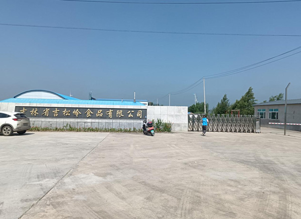 淮師學(xué)子三下鄉(xiāng)：聚焦城鎮(zhèn)發(fā)展，守望振興藍(lán)圖