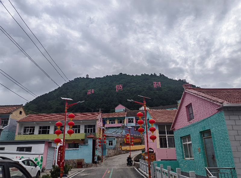 七彩村莊煥發(fā)新生機，連翹產(chǎn)業(yè)助力鄉(xiāng)村振興