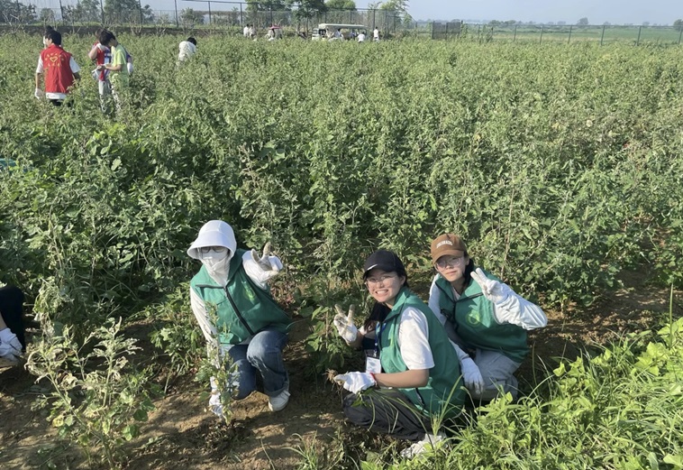 用青春熱血探興，為非遺傳承貢獻(xiàn)力量