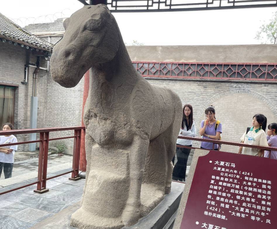 西農(nóng)學(xué)子三下鄉(xiāng)|尋脈中華傳統(tǒng)，助力文化傳承