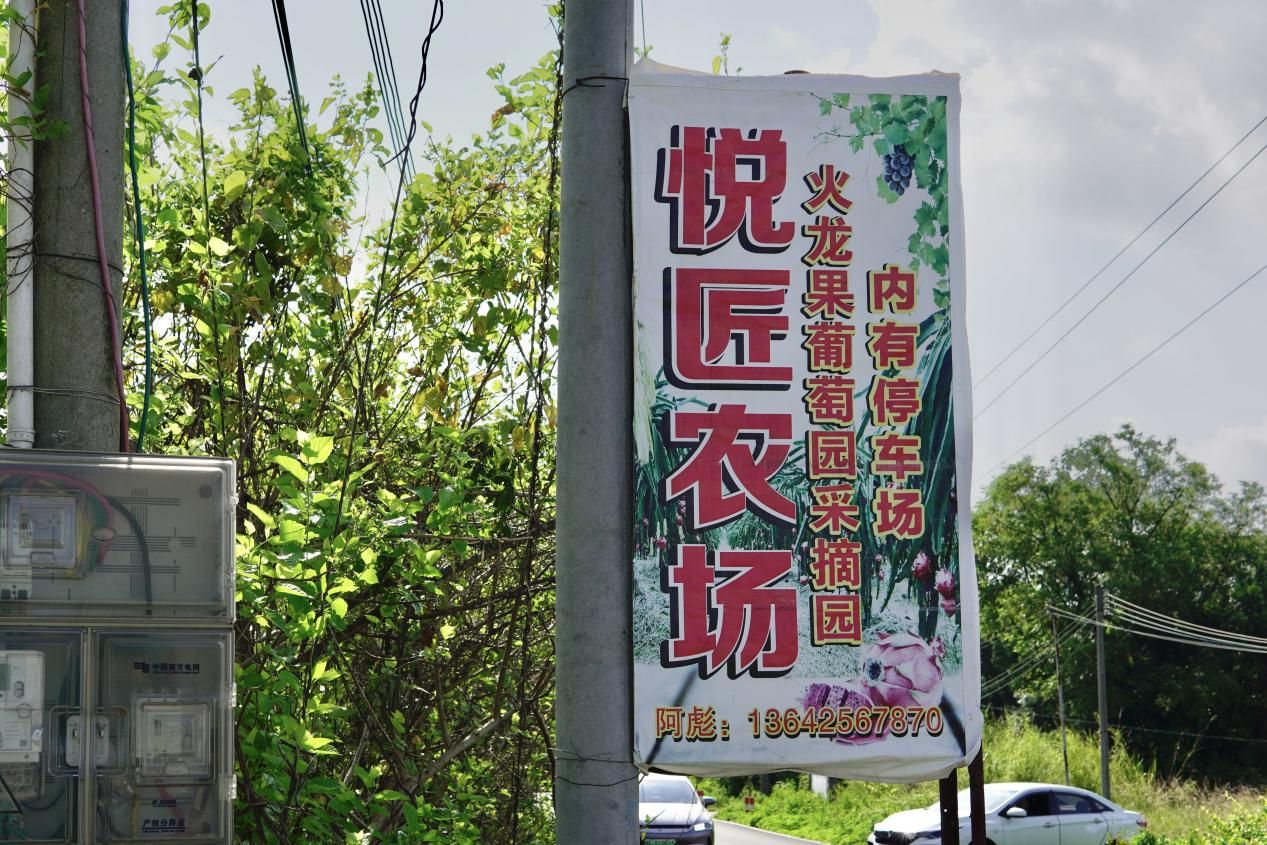 【百千萬工程 助力鄉(xiāng)春】挖掘西河農(nóng)業(yè)特色，探尋產(chǎn)業(yè)發(fā)展脈絡(luò)