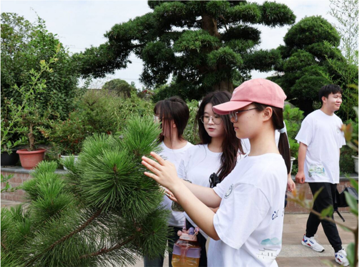 聚焦成都世園會(huì)溫江分會(huì)場，賦能非遺盆景產(chǎn)業(yè)發(fā)展