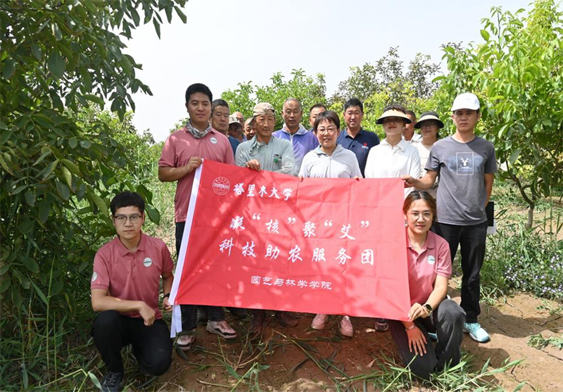 解決果農(nóng)問(wèn)題，助力核桃產(chǎn)業(yè)