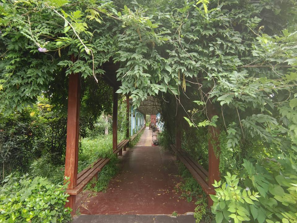 "青春的奉獻(xiàn)：李順雨同學(xué)暑期支教夢(mèng)，點(diǎn)燃母校東方寄宿學(xué)校學(xué)子心"